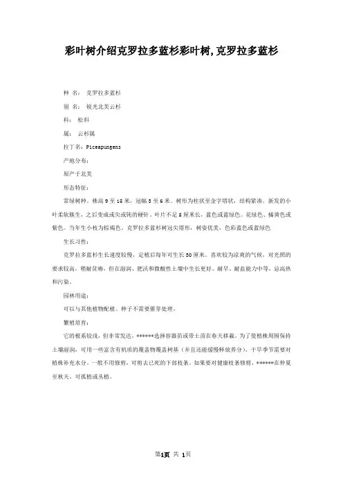 彩叶树介绍克罗拉多蓝杉彩叶树,克罗拉多蓝杉