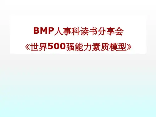 20个能力素质模型