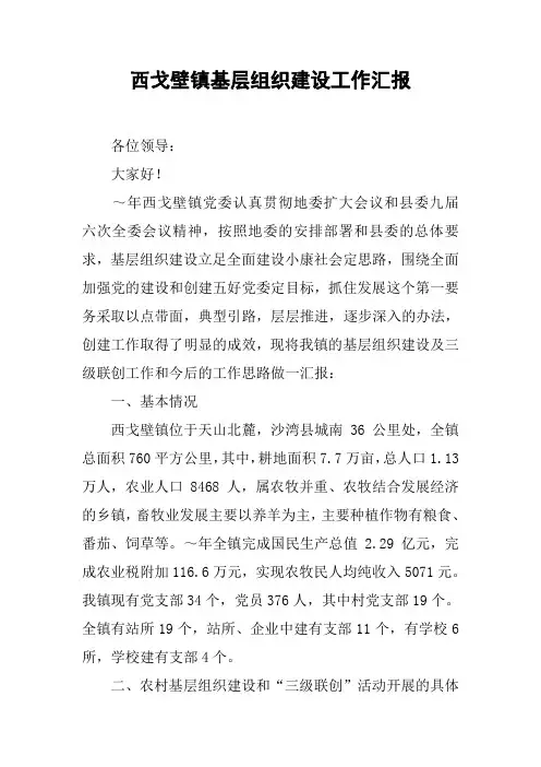 XX镇基层组织建设工作汇报[工作范文]