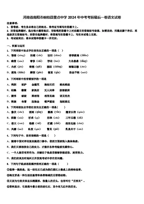 河南省南阳市桐柏县重点中学2024年中考考前最后一卷语文试卷含解析
