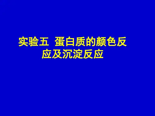 实验五 蛋白质的颜色反应和沉淀反应