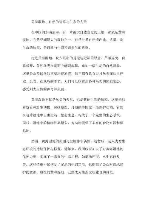 黄海湿地800字征文