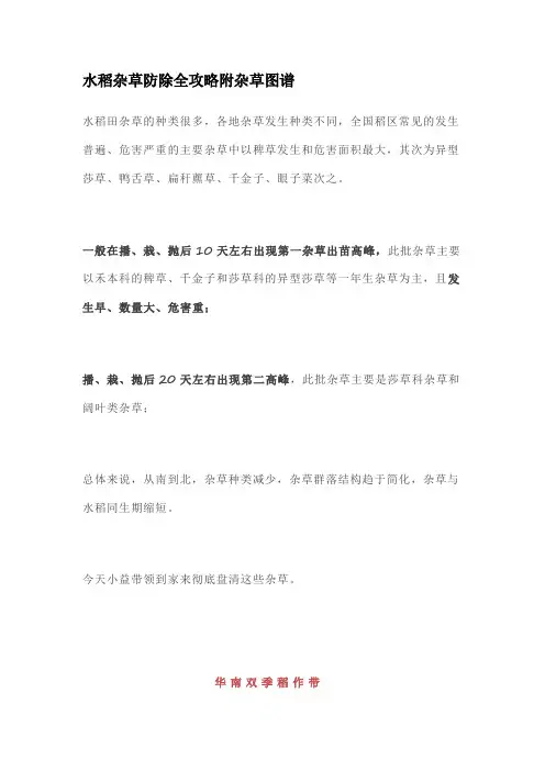 水稻杂草防除全攻略附杂草图谱