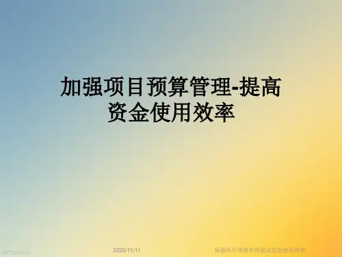 加强项目预算管理提高资金使用效率