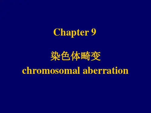 染色体数目畸变ppt课件