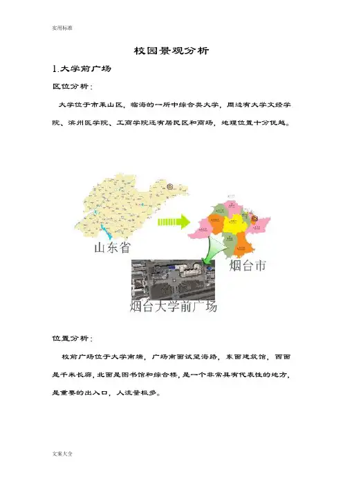 校园广场分析报告案例