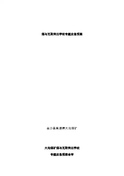 2022年大沟煤矿煤与瓦斯突出事故应急预案一