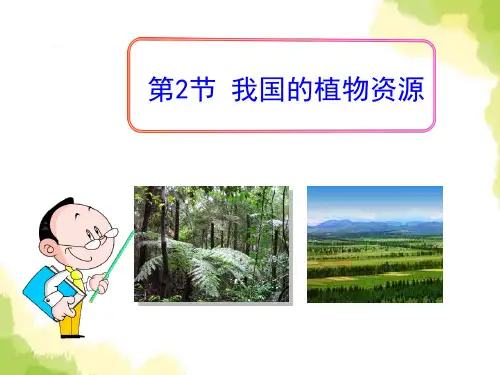 我国的植物资源-PPT全文课件