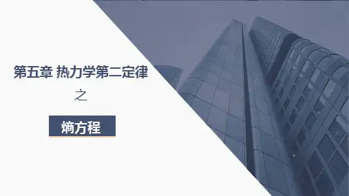 工程热力学-第五章热力学第二定律之熵方程