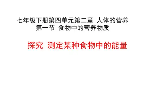人教版初中生物七年级下册实验一测定某种食物中的能量  课件