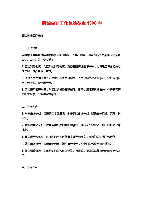 医院审计工作总结范本