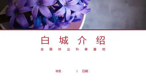 白城介绍-白城简介PPT(经典版)