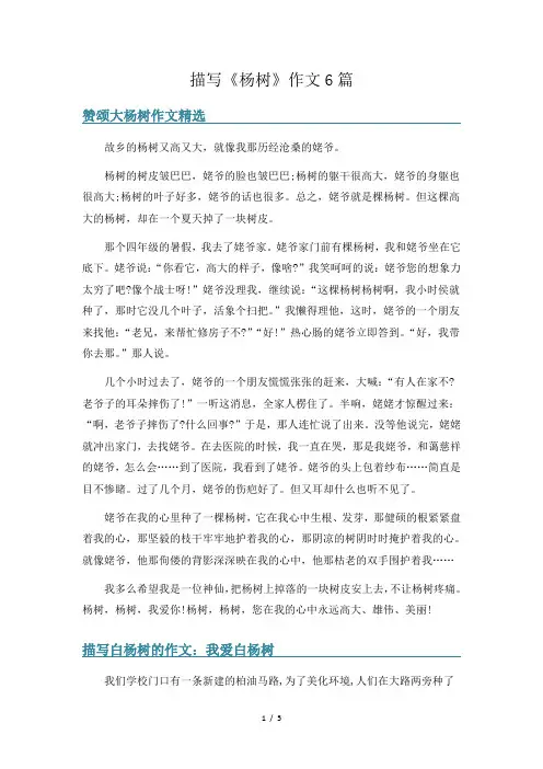 描写《杨树》作文6篇