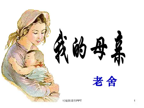 老舍《我的母亲》ppt课件