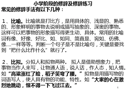 修辞手法及练习课件(1)