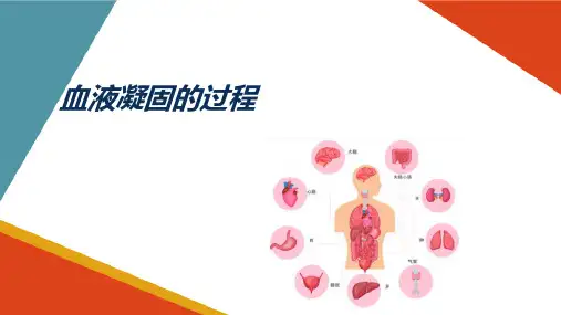 血液生理 血液凝固 血液凝固的过程 生理学课件