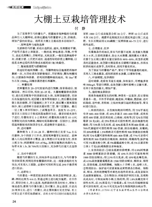 大棚土豆栽培管理技术