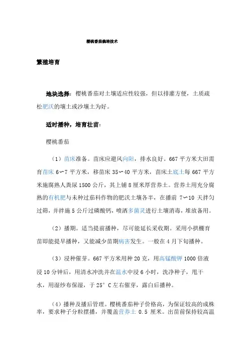 樱桃番茄四季栽培技术