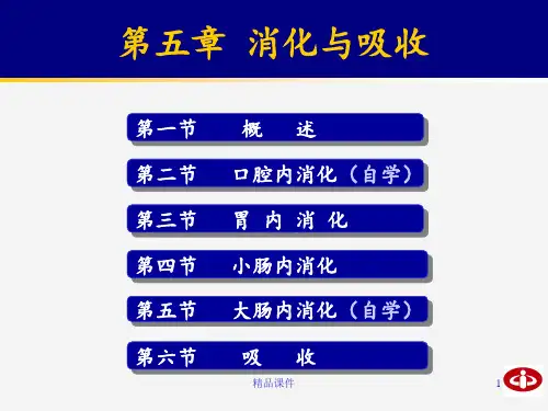 生理学 第六章 小肠内消化和吸收