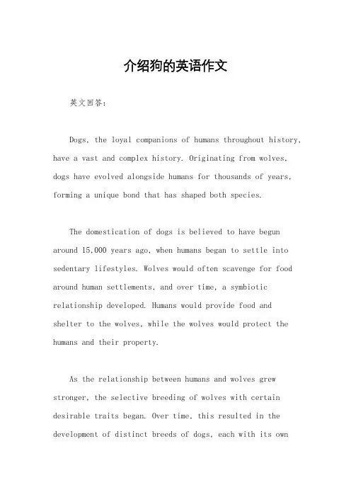 介绍狗的英语作文