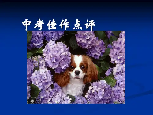 中考作文佳作点评课件