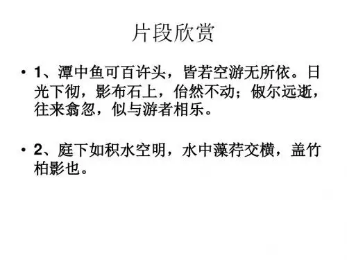 初中作文指导侧面描写ppt