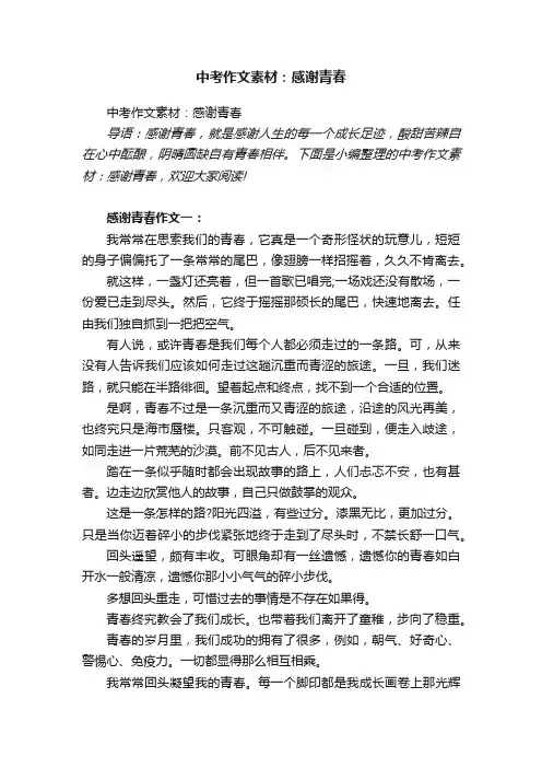 中考作文素材：感谢青春