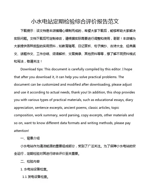 小水电站定期检验综合评价报告范文