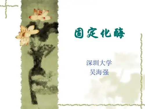 9-固定化酶-12