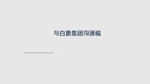 与白象集团沟通稿PPT课件