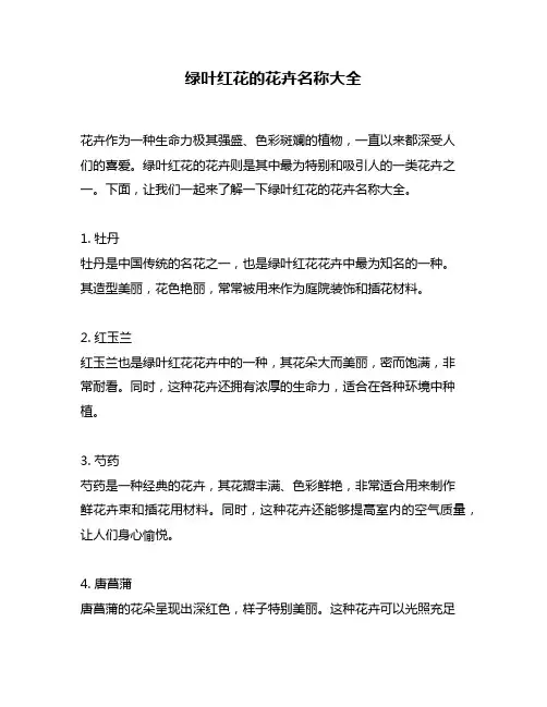 绿叶红花的花卉名称大全