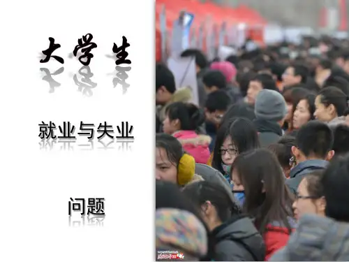 大学生就业与失业问题19页PPT文档