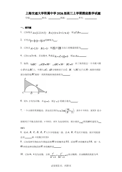 上海交通大学附属中学2024届高三上学期摸底数学试题