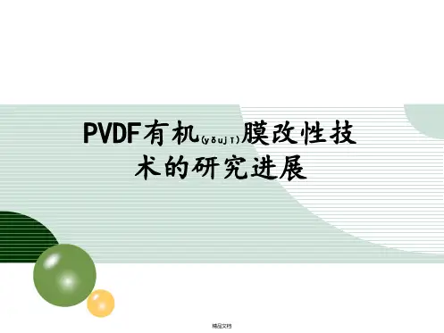 PVDF膜改性与及其在水处理中的应用