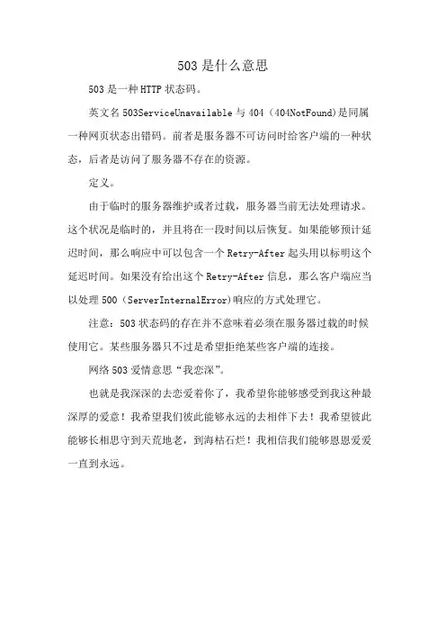 503是什么意思