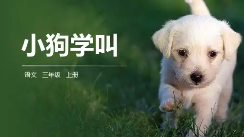 部编版三年级上册语文《不会叫的狗》说课教学电子课件说课