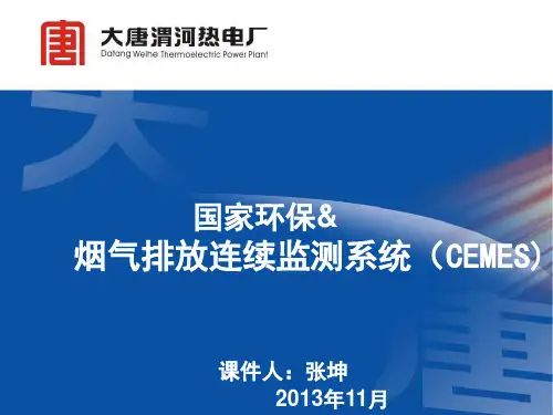 CEMS深入讲解课件.