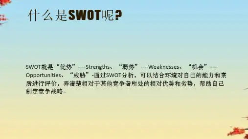 肯德基市场营销环境swot分析报告