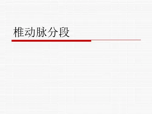 (完整版)椎动脉分段