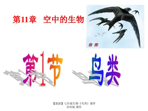 【最新】七年级生物《鸟类》课件 苏科版 课件