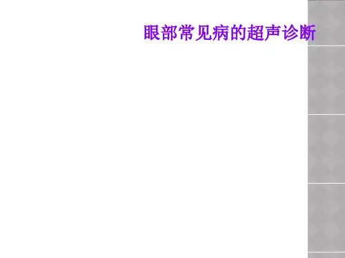 眼部常见病的超声诊断