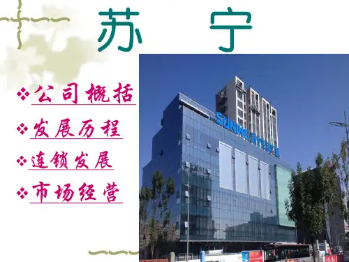 苏宁概述