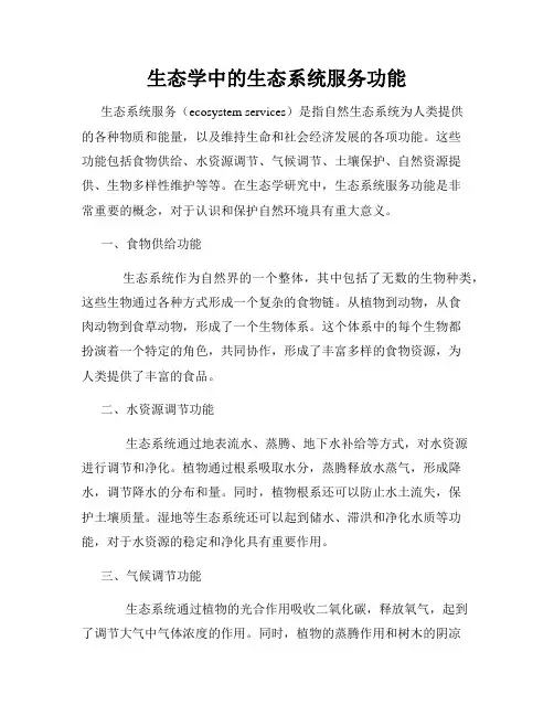 生态学中的生态系统服务功能