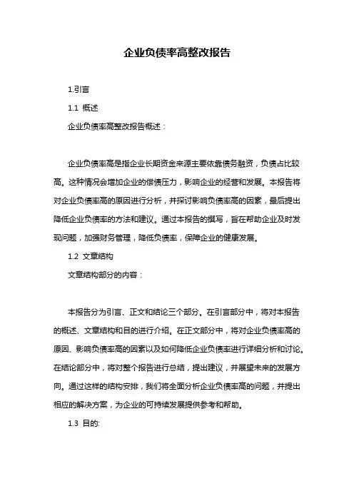 企业负债率高整改报告