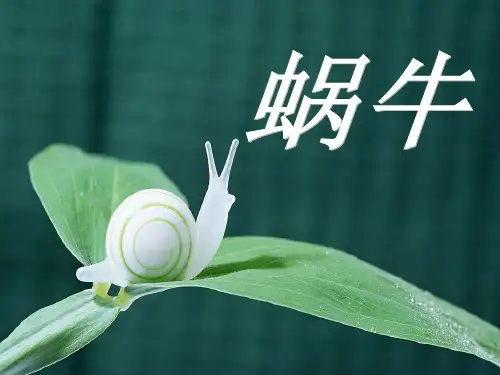《蜗牛》动物4精品 课件 