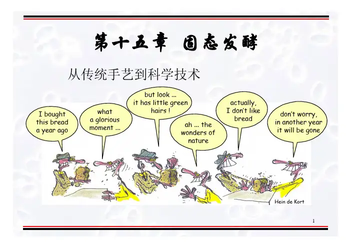 发酵工程原理与技术_江南大学-陈坚-第十六章固态发酵