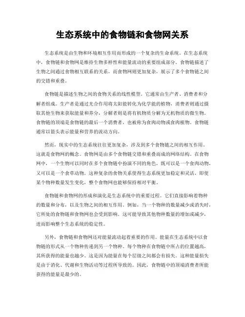 生态系统中的食物链和食物网关系