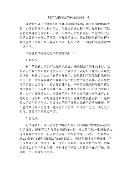 饲养乳猪的过程中要注意些什么