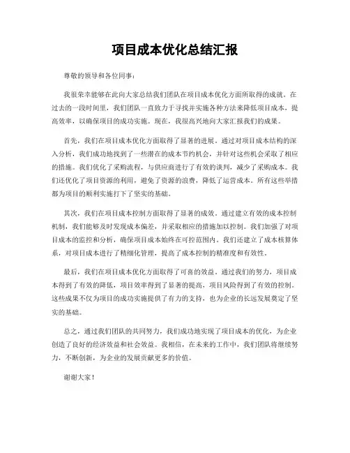 项目成本优化总结汇报