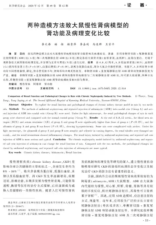 两种造模方法致大鼠慢性肾病模型的肾功能及病理变化比较